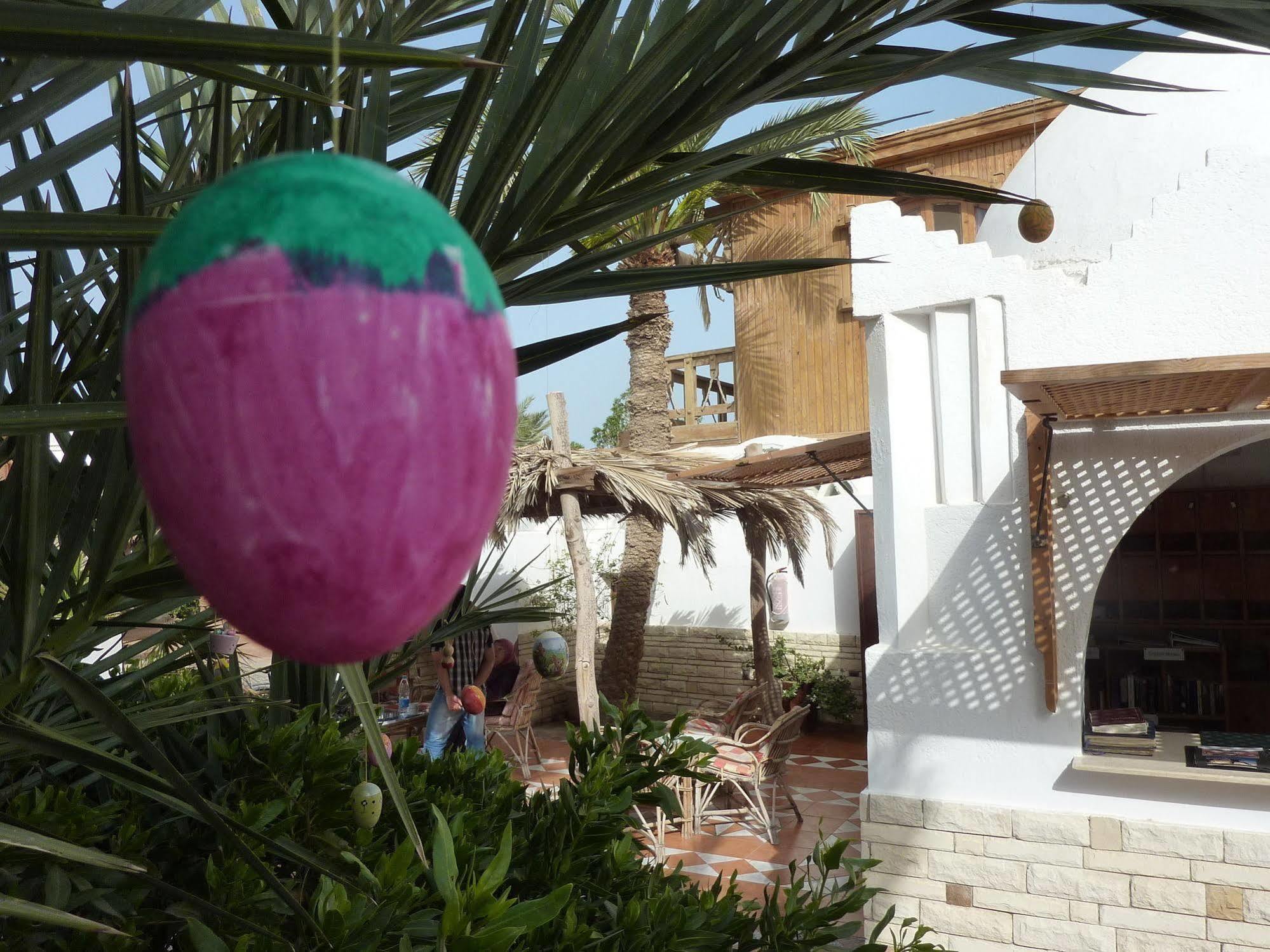 Inmo Divers Home Dahab Extérieur photo